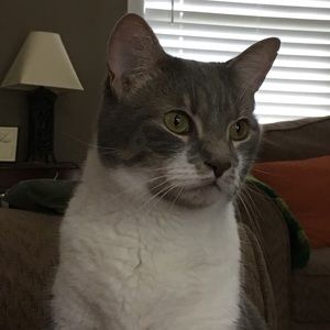 Meet your Posher, Rachael